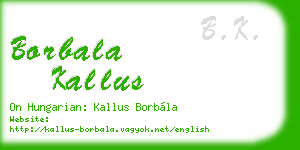 borbala kallus business card